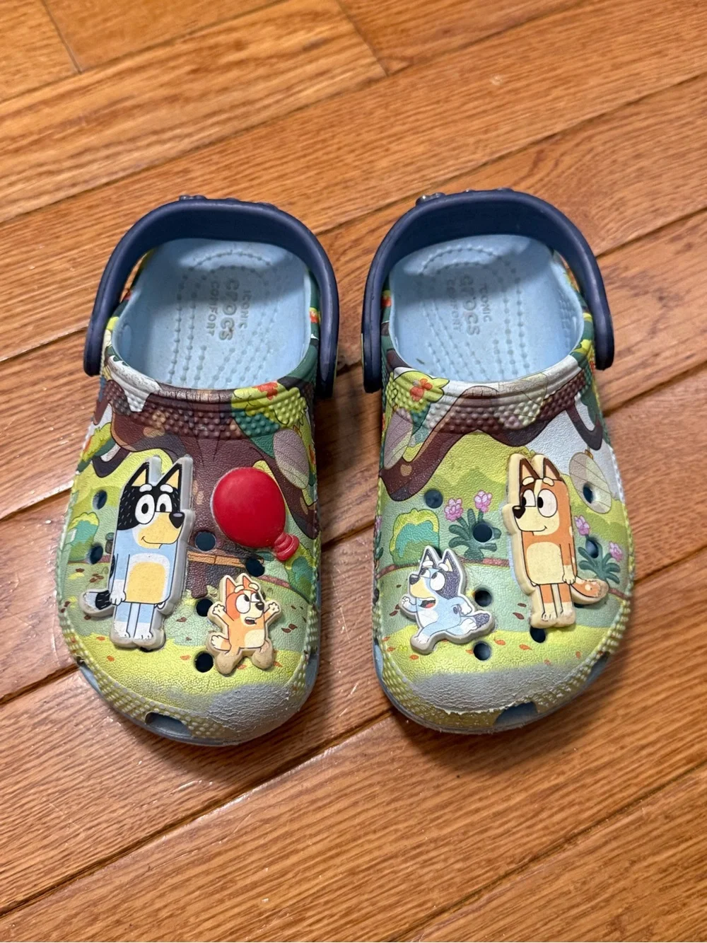 Bluey Cartoon Slip-On Clogs crocs C9